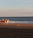 Filename=119.jpg
Filesize=25KiB
Dimensions=483x299
Date added=Nov 28, 2025 119.jpg