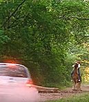 149.jpg