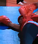 261.png