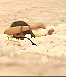 008.png