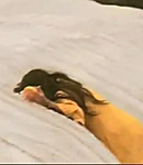 049.png