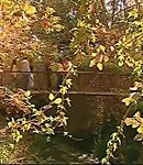 Filename=155.jpeg
Filesize=124KiB
Dimensions=640x480
Date added=Dec 04, 2025 155.jpeg