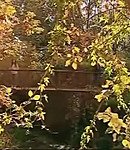 Filename=188.jpeg
Filesize=115KiB
Dimensions=640x480
Date added=Dec 04, 2025 188.jpeg