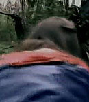 273.png