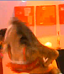 130.png